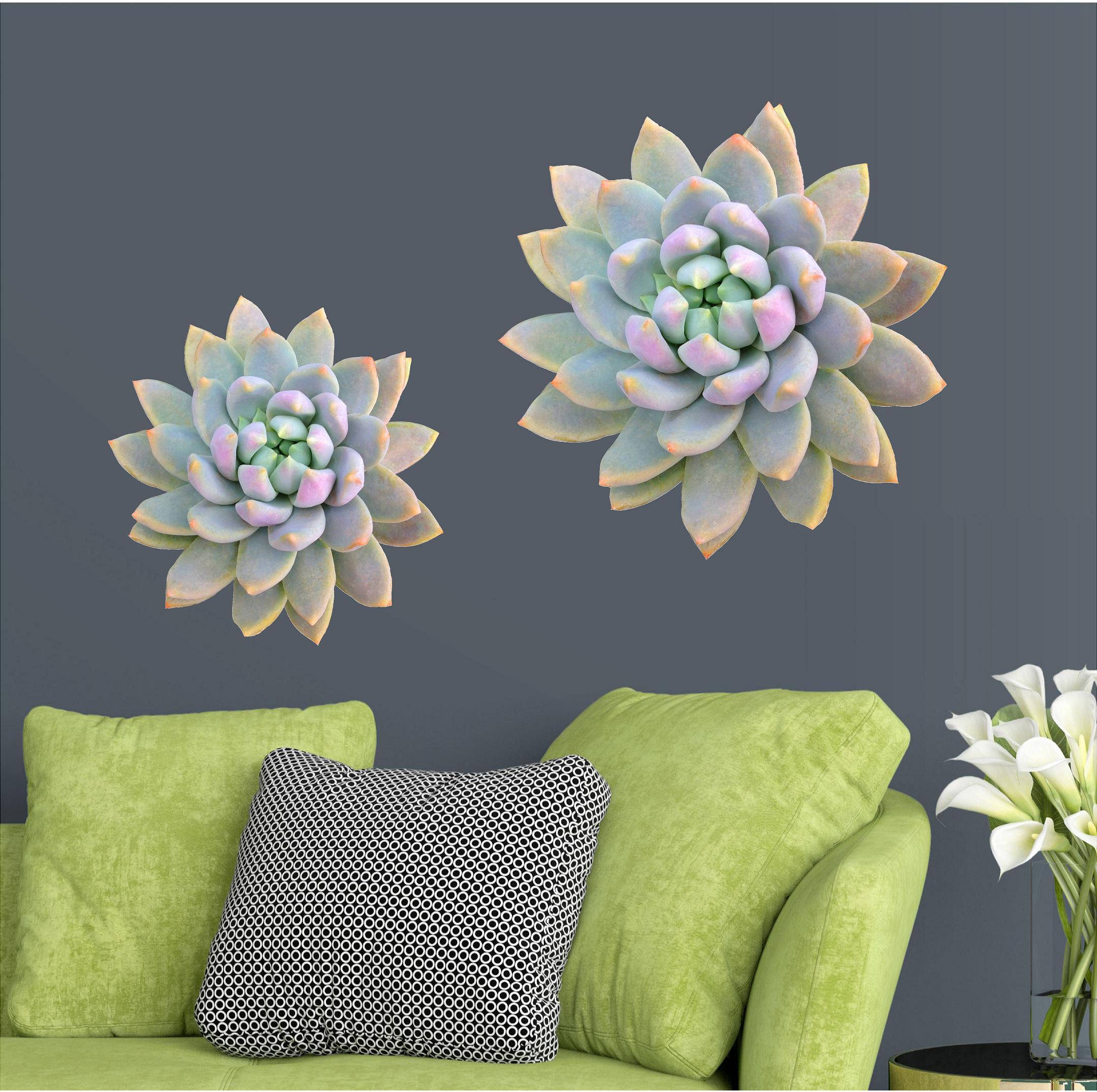 Succulent Wall Decal Succulent Cactus Wall Decor Wall Art