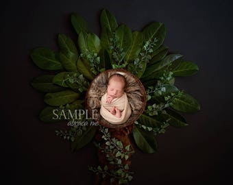 BOY GIRL newborn digital background/ newborn digital backdrop/ instant download