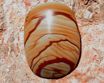 Owyhee Picture Jasper Cabochon