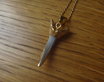 Necklace shark tooth 24 k gold plated silver