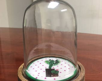 Glass dome with wood base. Cactus, Terrarium, Succulent Planter.