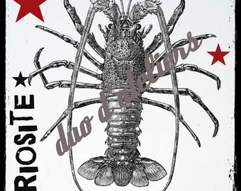 "curiosity lobster" digital image to make transfers for textile yourself.