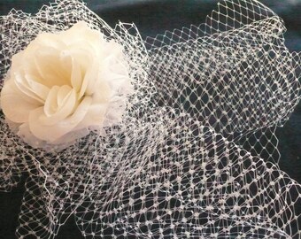 Birdcage Full Face Veil of French Netting