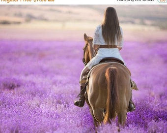 50% Off - Digital Background, Photo Overlays, Background Replacement, Photography Backgrounds & Backdrops, Lavender Fields, Purple Flowers L