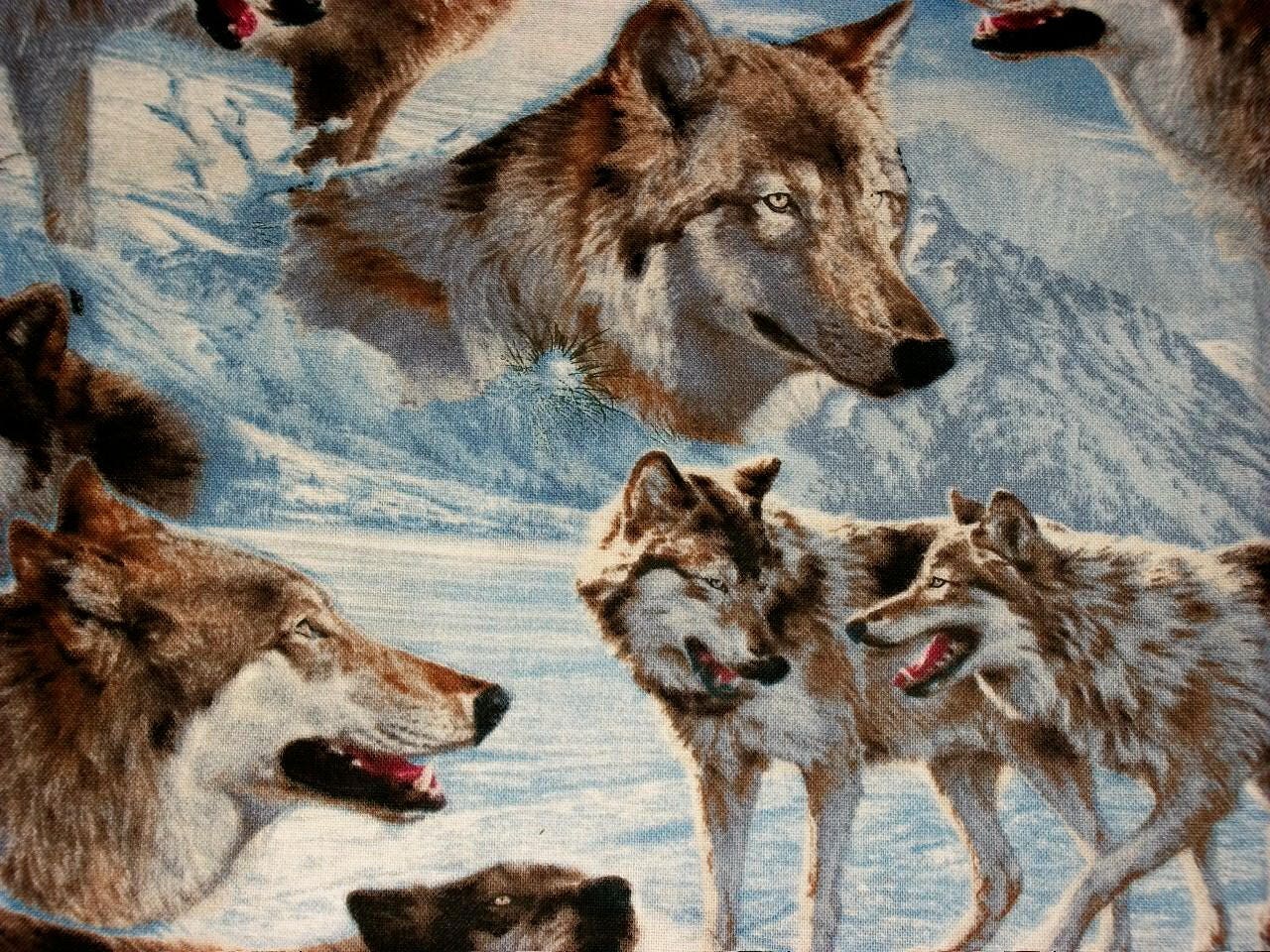 Wolf Fabric, Quilting Fabric, By The Yard Fabric, David Textiles, Wild