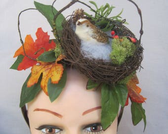 Petite White Spotted Bird in a Nest n Fall Greenery