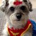 jerseygirl1