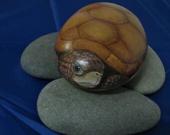 Painted rock turtle | Etsy