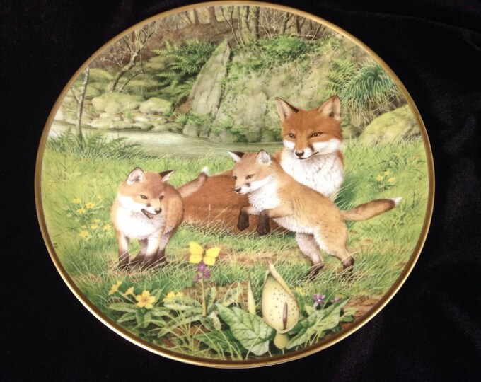 Red Fox Plate, Woodland Animals Wall Plate, Fox Gift, Vixen and Kits, Gift For Christmas, Gift For Him, Gift For Her