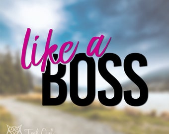 Like a Boss Decal - Two Color // Sticker // Car Decal // Tumbler Decal // Laptop Decal // Notebook Decal // Mirror Decal // Hustle //Work It