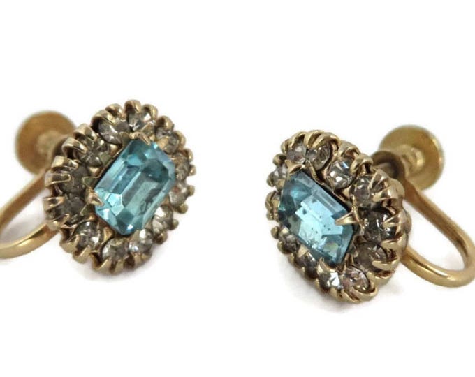 Vargas Rhinestone Earrings - Vintage Blue Rhinestone Screwback Earrings, Gift idea, Gift Box