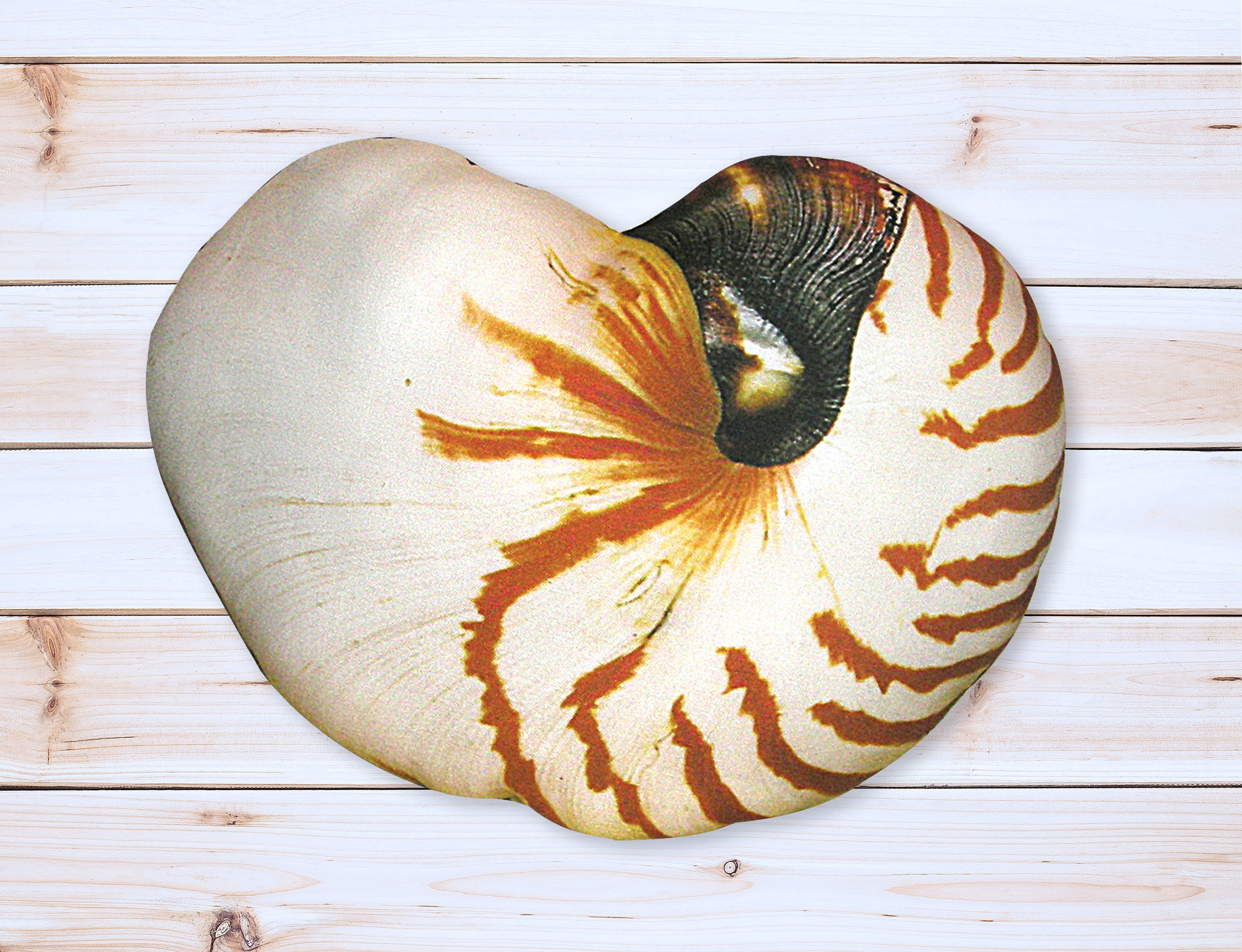 shell pillow