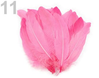011 - Set of 5 16/21 cm pink goose feathers