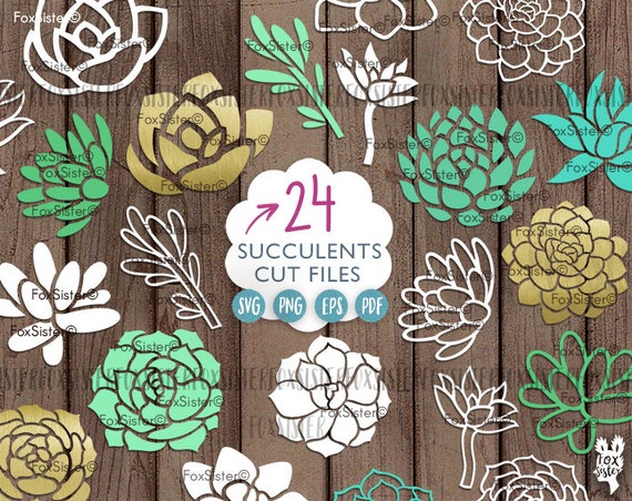 Download 24 Cactus Svg Bundle Succulents Svg plants svg Papercut