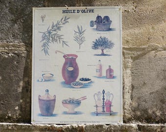 Vintage French School Poster - Deyrolle Poster - Huile d'Olive - Musee Scolaire French Vintage Educational Poster on Board - Olive Oil