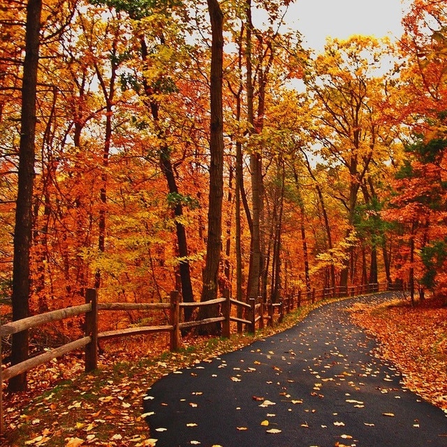 Crochet Tutu Tops by Crabs Craft Shack Lined by CrabsCraftShack