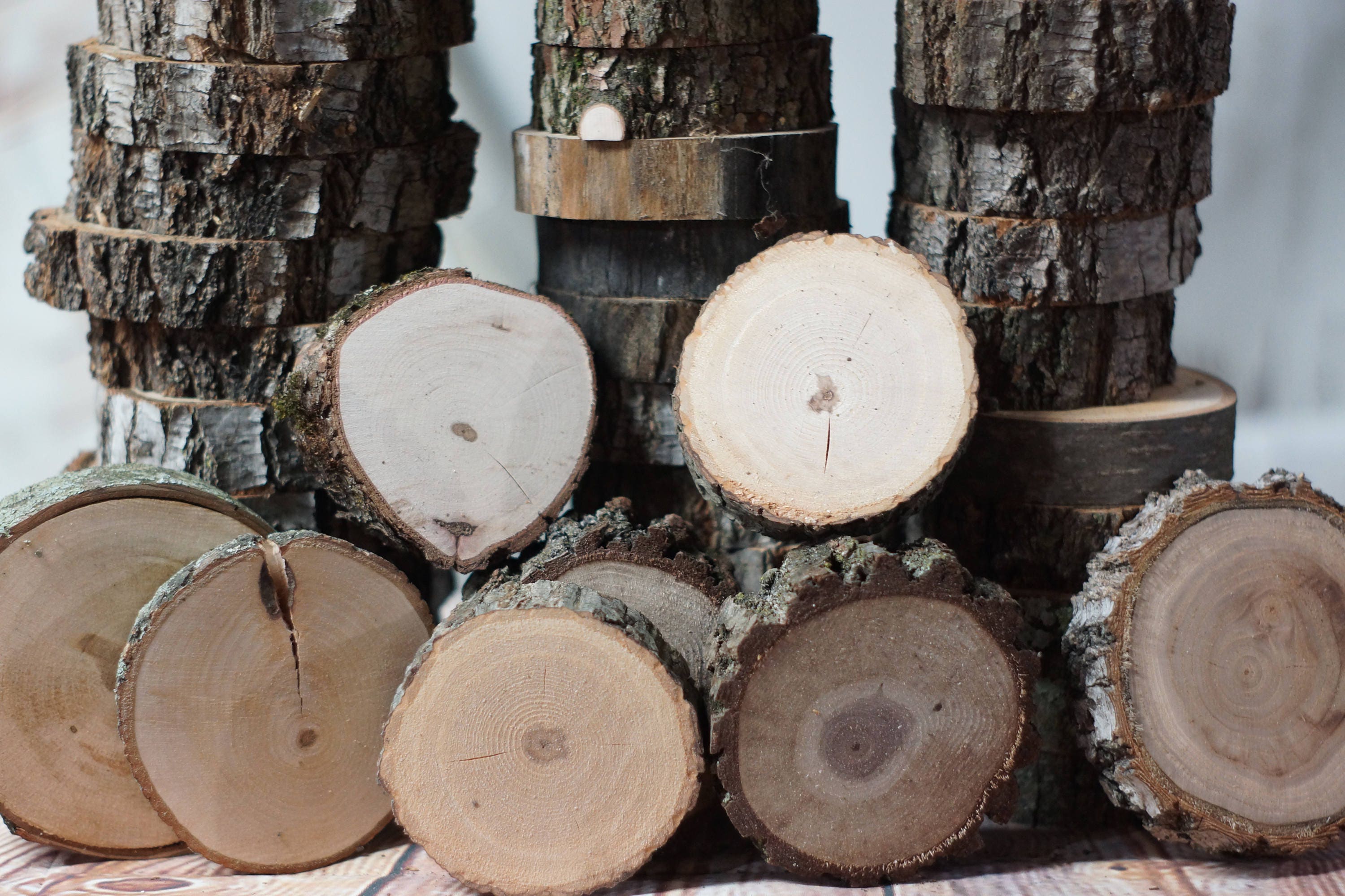 DIY Log Slices Craft Project Tree Branch Slice Wood Slice