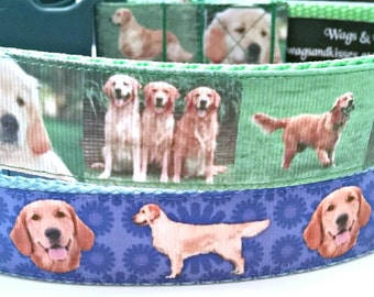 Golden Retriever Dog Collar (L-XL) 1" wide
