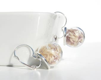 Glass globe earrings / herbal seeds