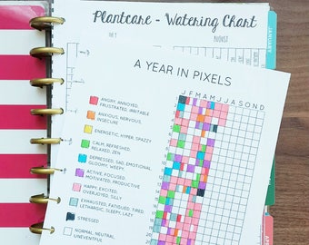 A Year in Pixels (for Classic Happy Planner) - Bullet Journal Inspired Daily Mood Tracker, Minimalist Tracker, Instant Digital Download, PDF