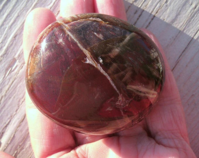 FABULOUS Red Petrified Wood Polished Palm Sphere, silicified wood, Madagascar, crystal healing, multi colored, crystal natural inclusions