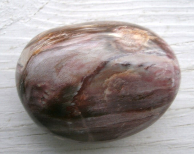Petrified Wood Palm Stone, 130g / 4.6 oz. polished, incredible colors, crystal, wood grain shows, excellent idsplay specimen, fossil gift