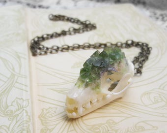 Bat Skull Necklace - Taxidermy Jewelry - Real Animal Skull Necklace - Animal Bones - Bone Jewelry - Crystallized Skull