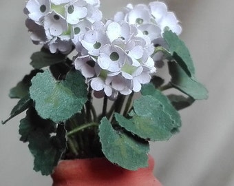 White geraniums | Etsy