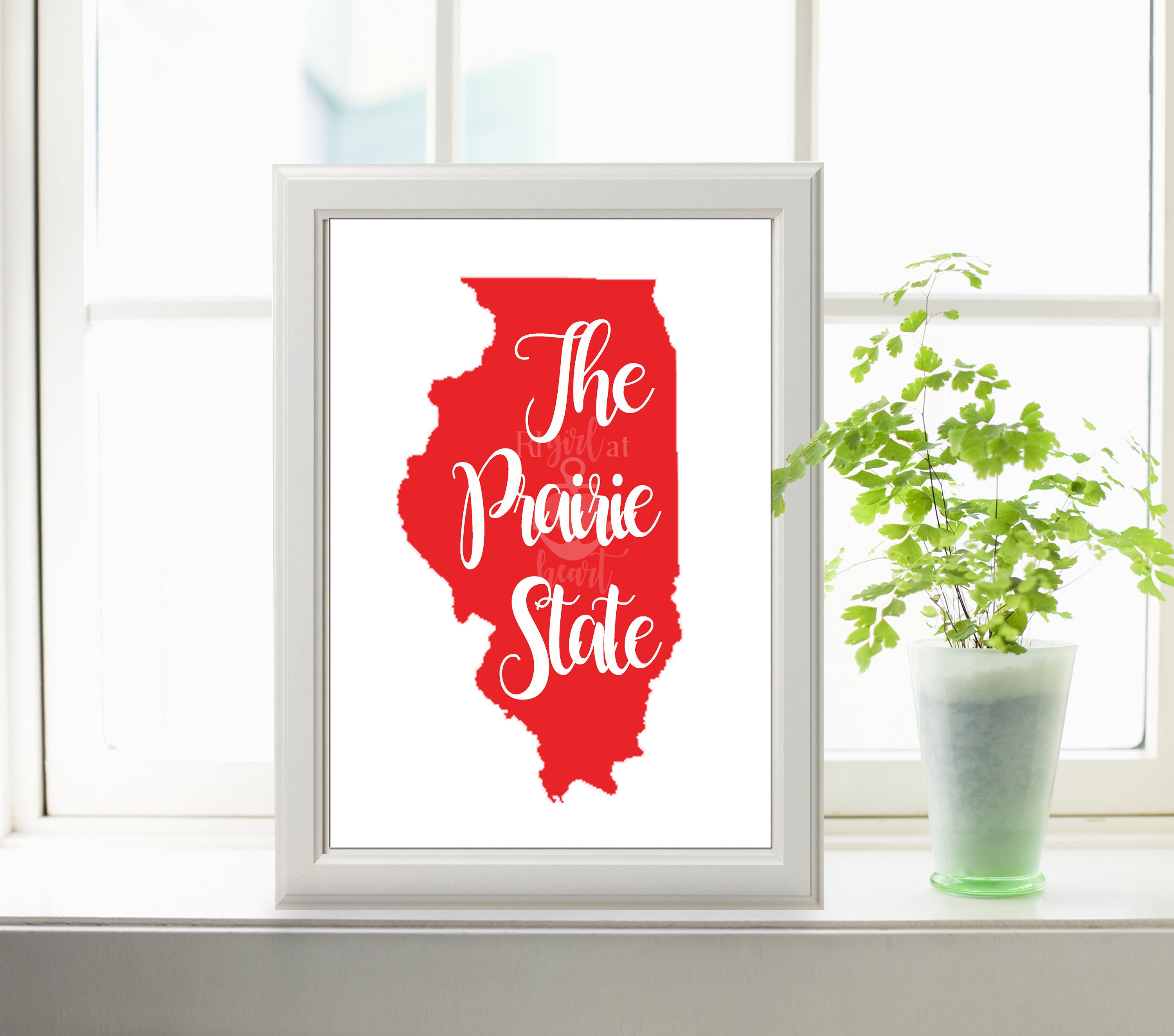 illinois-state-nickname-the-prairie-state-instant-digital