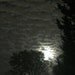 Winter Moon