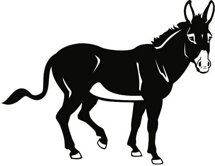Donkey 3 Ass Mule Farm Animal Rides Coffee Beans .SVG .EPS