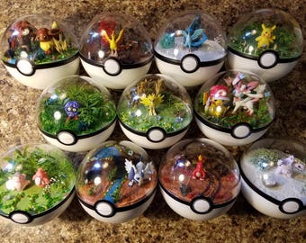 Custom Order Poke'rarium! Pokemon Pokeball Terrarium!