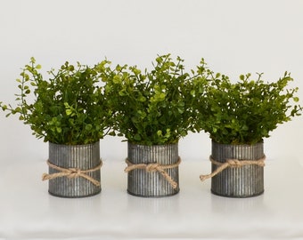 Three Pots Of Faux Boxwood In Galvanized Spring Centerpiece Rustic Tins Three Pots Of Faux Boxwood In Galvanized Spring Centerpiece Rustic Tins