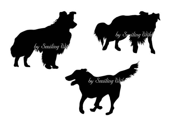 Download Border Collie svg border colly silhouette cliart Puppy ...