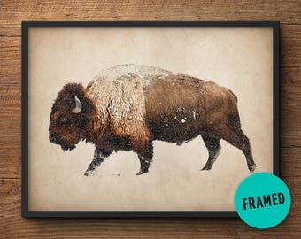 Buffalo wall art, Framed art, Buffalo print, Bison photography, Bison wall art, Buffalo photo, Buffalo photography, Large wall art