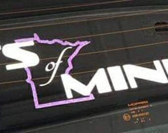 Darts of Minnesota banner