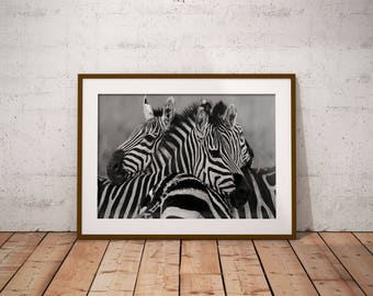 zebra poster | etsy zebra poster | etsy
