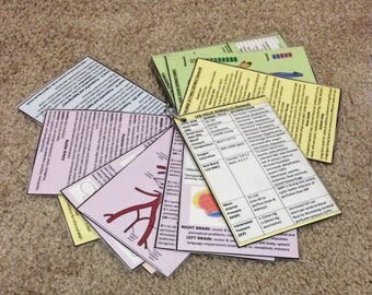 Occupational Therapy Neuro Reference Cards ***Physical Item***