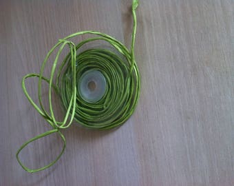 Pistachio green raffia 5 m