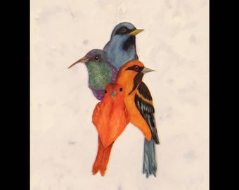 Watercolor and Red birds
