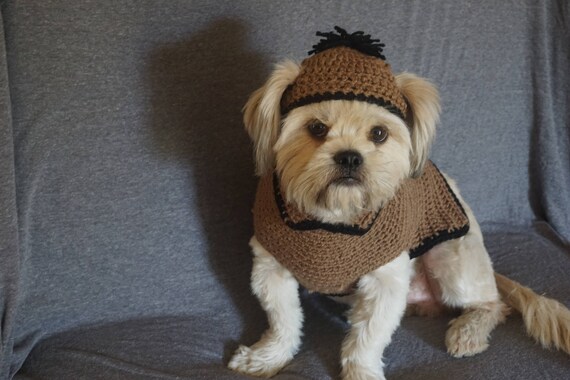 dog crochet outfit.