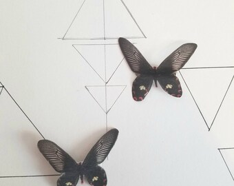Gothic Silk Butterfly Clips in Black White & Red