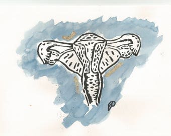 Beauty lies beneath - an Anatomical Uterus Print