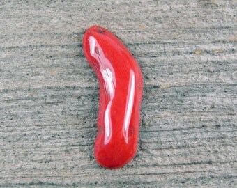 Natural Red Branch Coral Cabochon - 1105