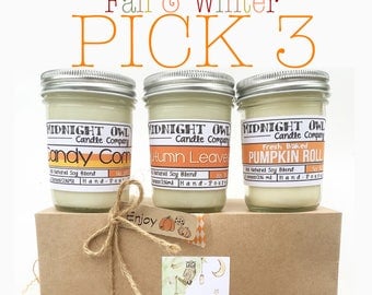Pick 3! Fall & Winter Scented Candles, Soy Candles, Mason Jars, Fall Decor, Gift, Candle Deal, Fall Scents, Eco-Friendly, Candle, Fall, Sale