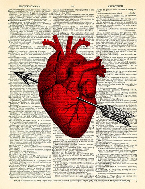 Heart Anatomy Love Anatomical Heart Art Print on Dictionary