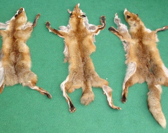 3 x fox fur - fox fur sewing or crafts or wall decoration