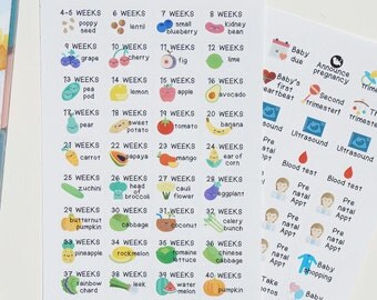 72 Pregnancy Planner Stickers *Updated* // Planner Stickers for Erin Condren etc. Baby gestation size | pregnant mum | tracker