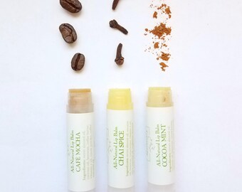 Lip Balm Collection, Lip Balm Set, Lip Balm Favors, Gift Set, Gifts for Her, Small Gift, Gift for Friend, Natural Lip Balm, Eco Beauty