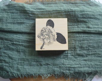 Camellia Blossom Pen and Ink Drawing Fine Art Print on 3x3 Wood Panel